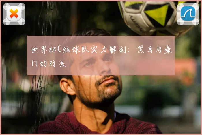 世界杯C组球队实力解剖:黑马与豪门的对决