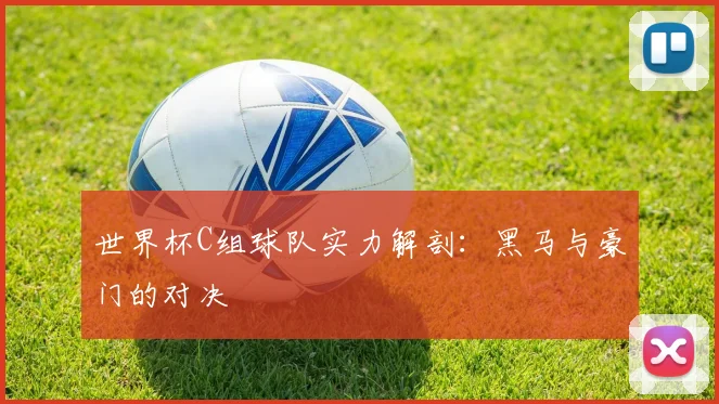 世界杯C组球队实力解剖:黑马与豪门的对决
