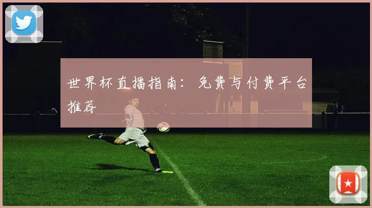 世界杯直播指南：免费与付费平台推荐