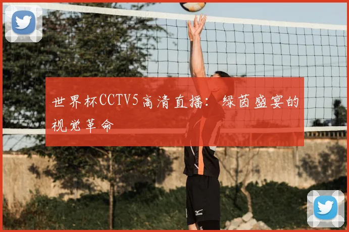 世界杯CCTV5高清直播：绿茵盛宴的视觉革命