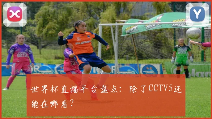 世界杯直播平台盘点：除了CCTV5还能在哪看？