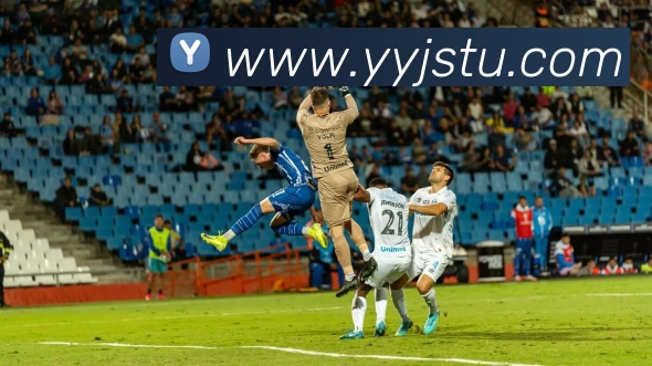 九游网官网入口APP 封面图